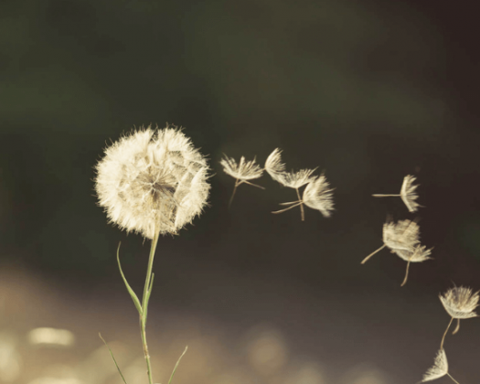 Åndedræt Klinik Solvang